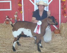 AVR Chocolate Coffee Kiss